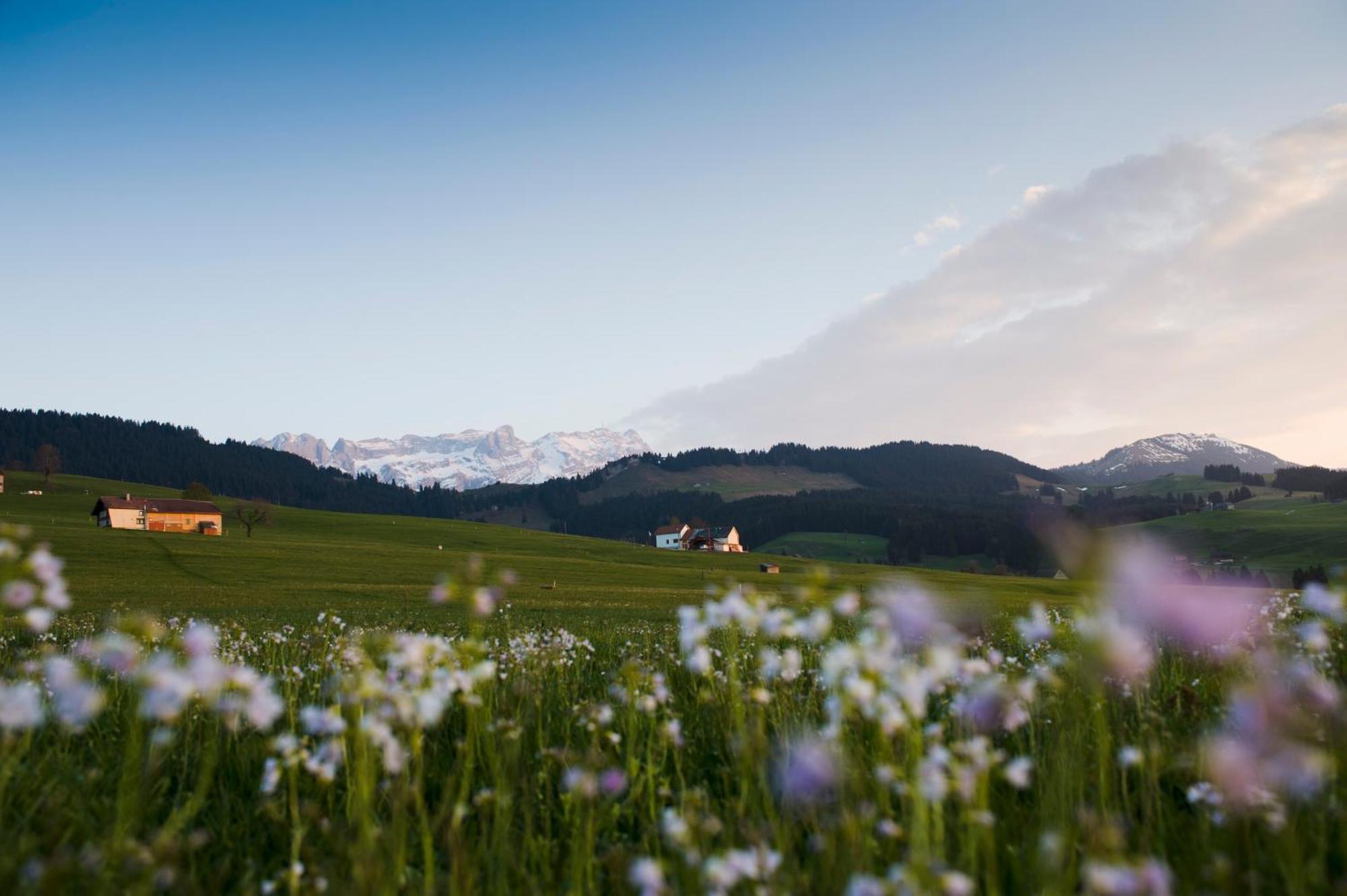 Hotel Landgasthof Eischen Appenzell Bagian luar foto